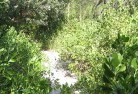 Mckenzie Creeksustainable-landscaping-16.jpg; ?>