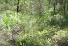 Mckenzie Creeksustainable-landscaping-21.jpg; ?>